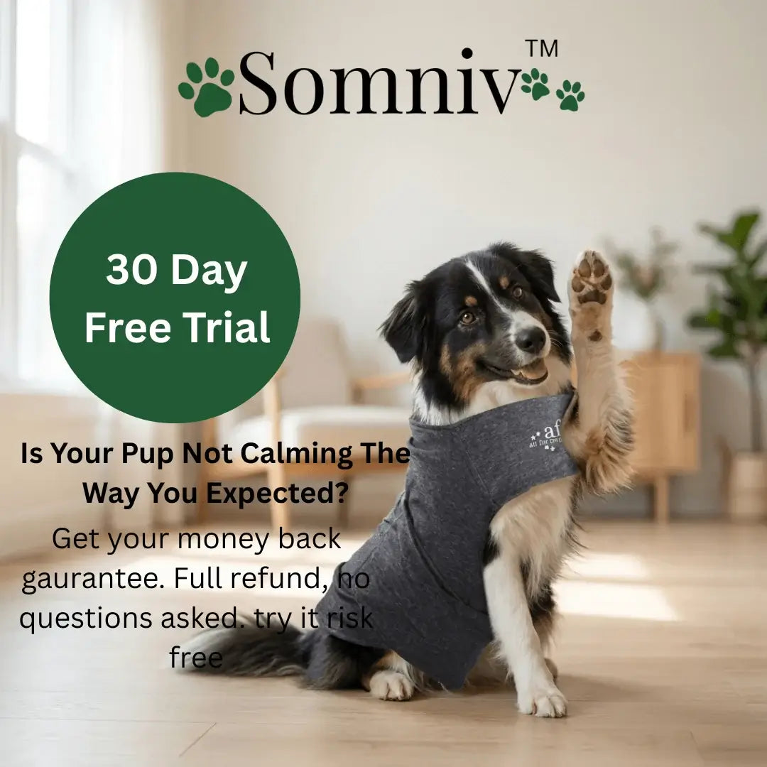 Somniv Calm Paws Vest
