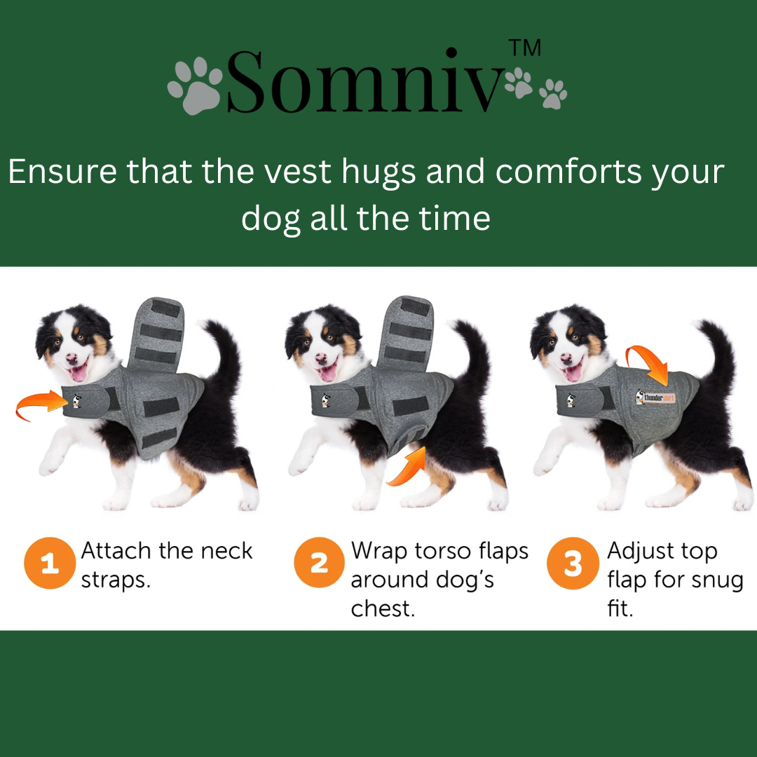 Somniv Calm Paws Vest