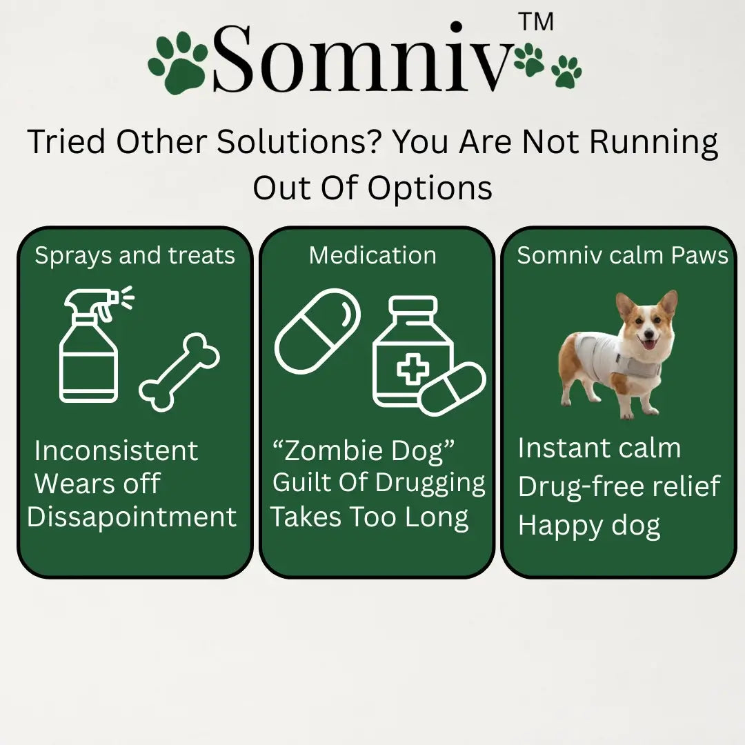Somniv Calm Paws Vest