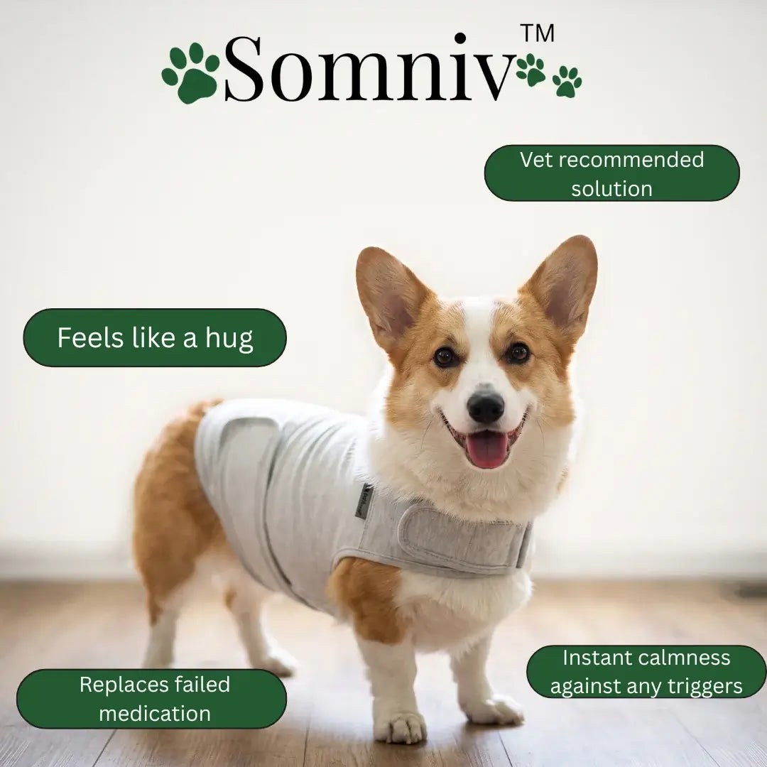 Somniv Calm Paws Vest